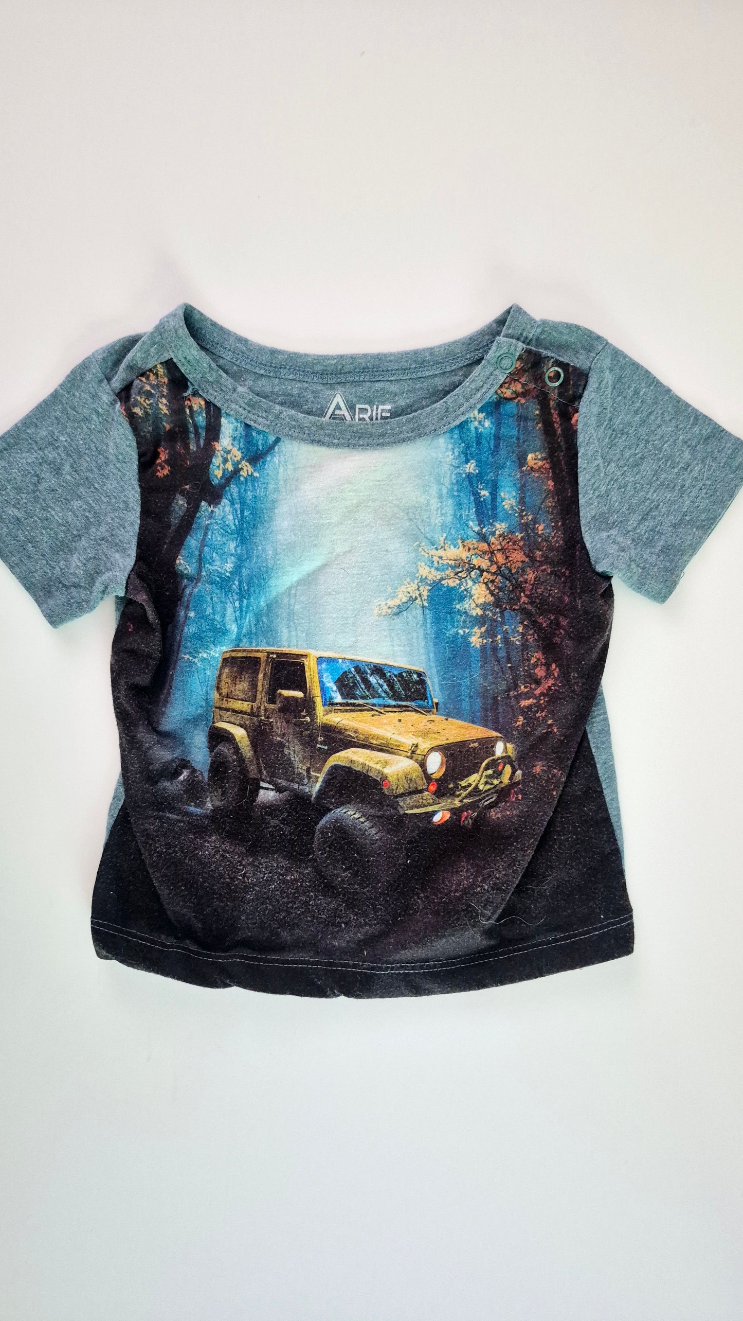 Chandail 24 mois Arie