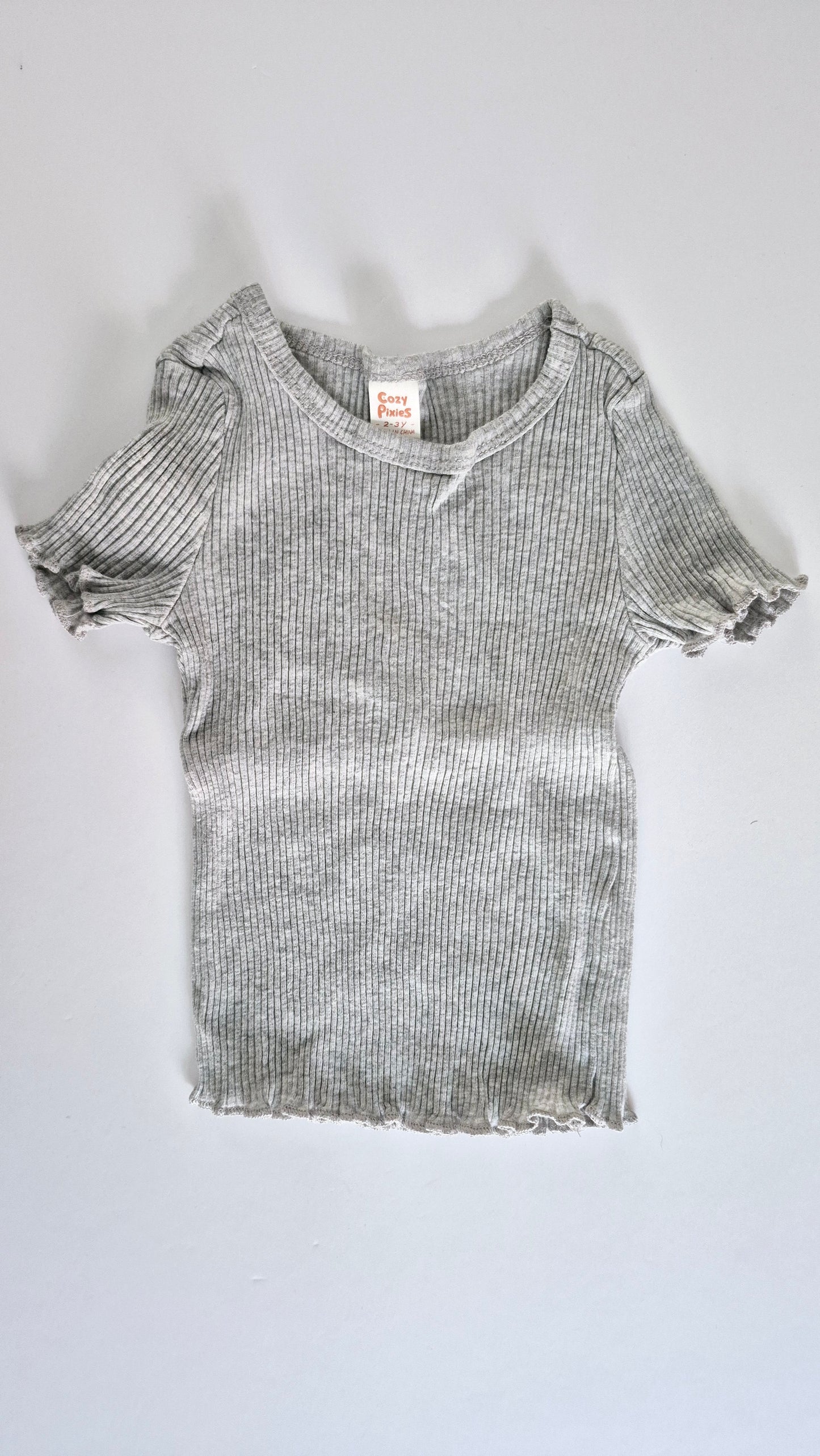 Chandail 2-3T Cozy Pixies