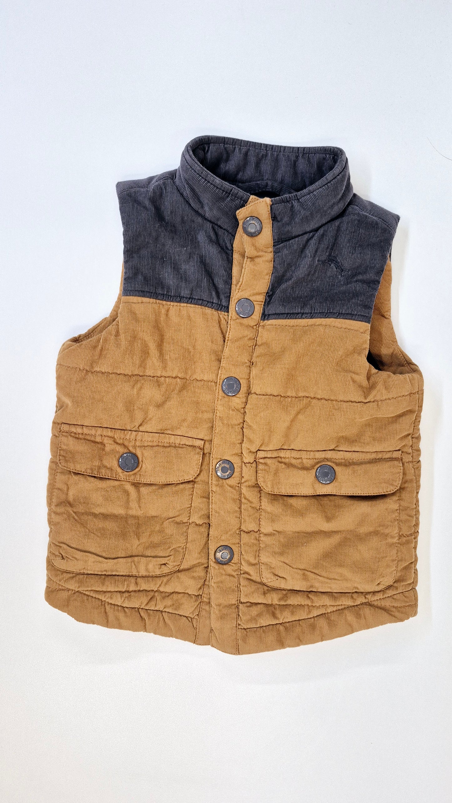 Manteau 2T Tommy Bahamas