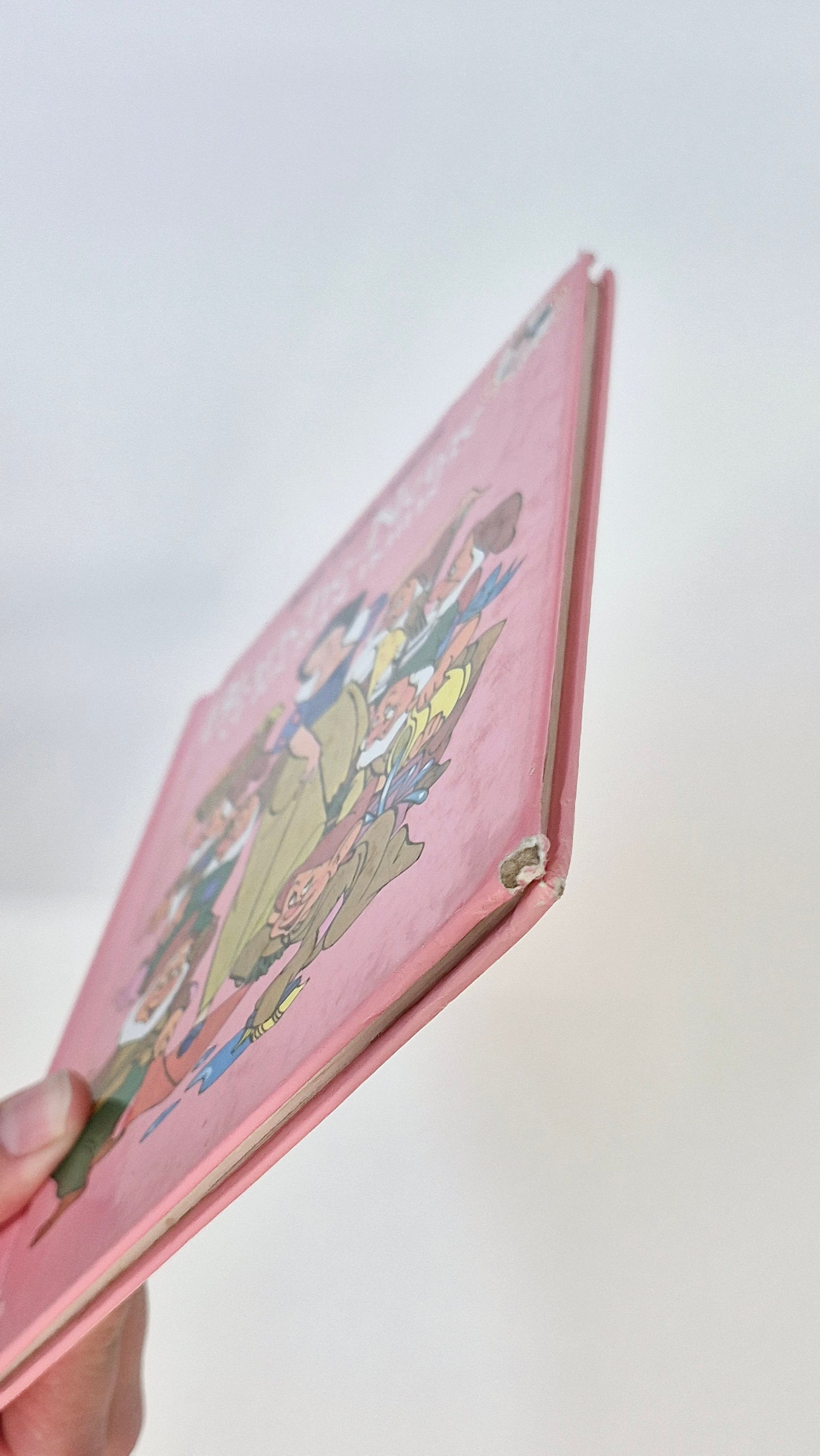Livre Rigide (Imparfait voir photo)