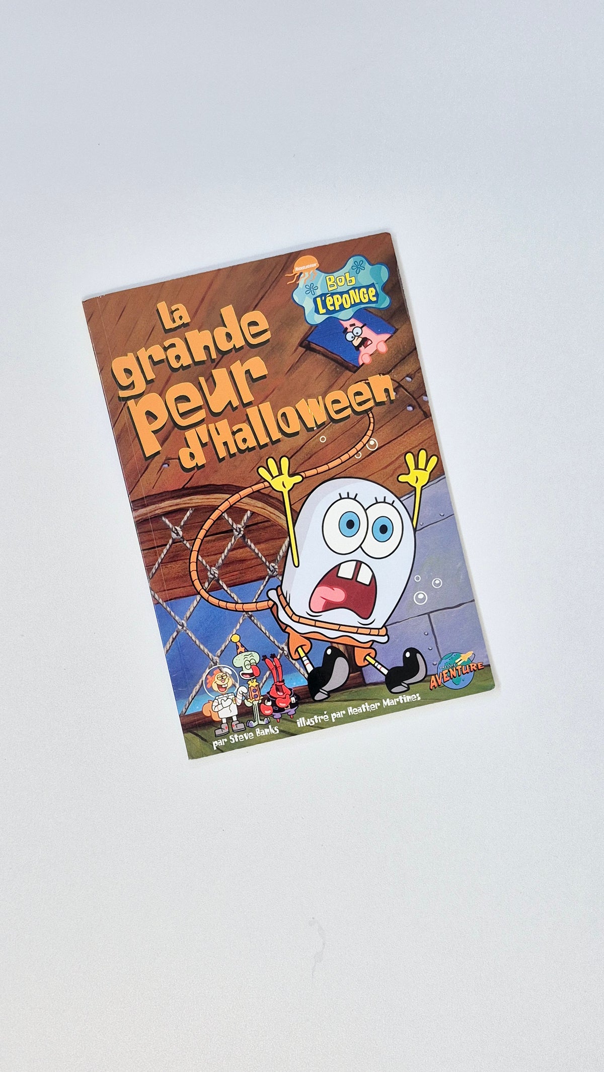Livre Souple
