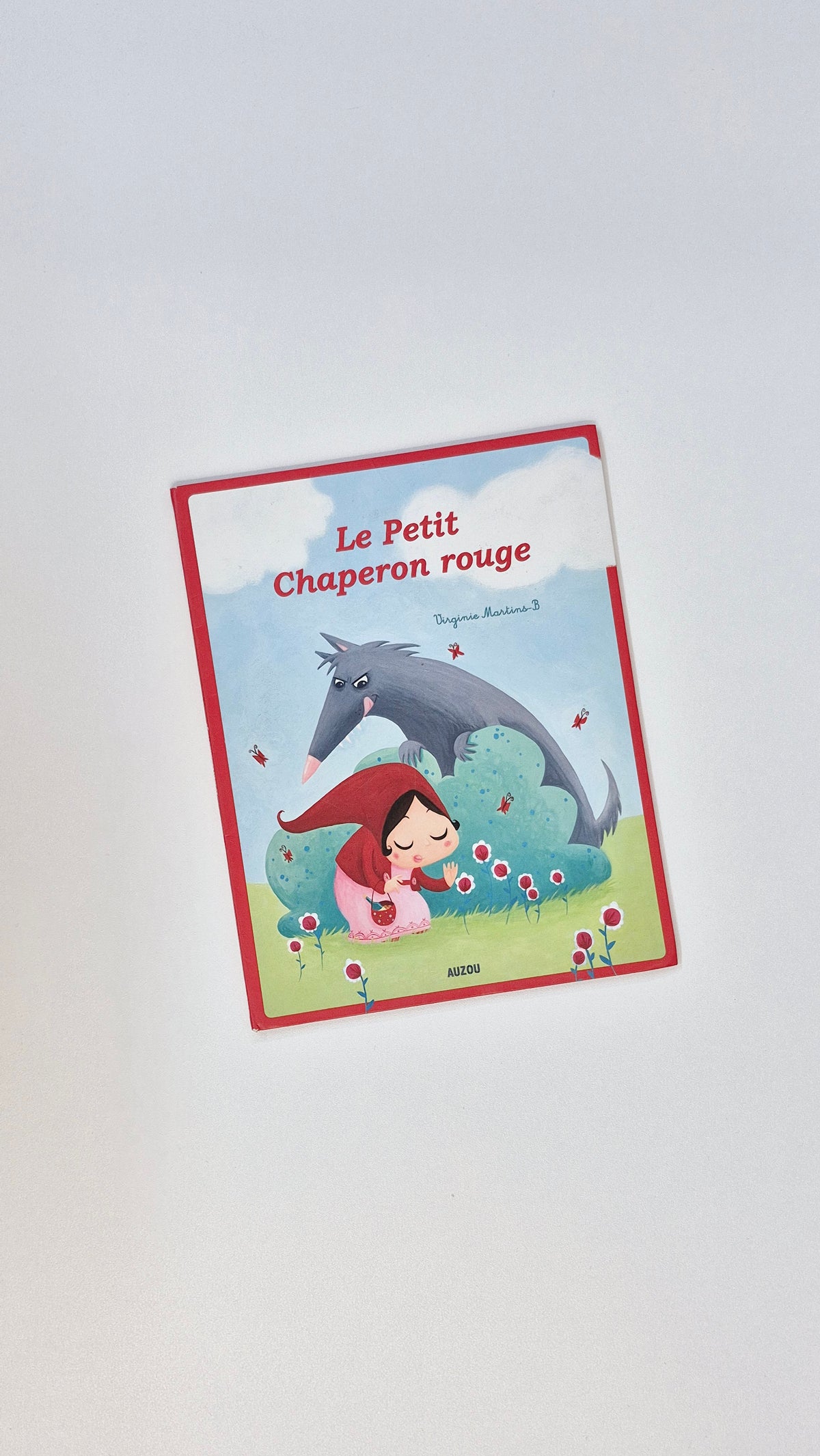 Livre Souple