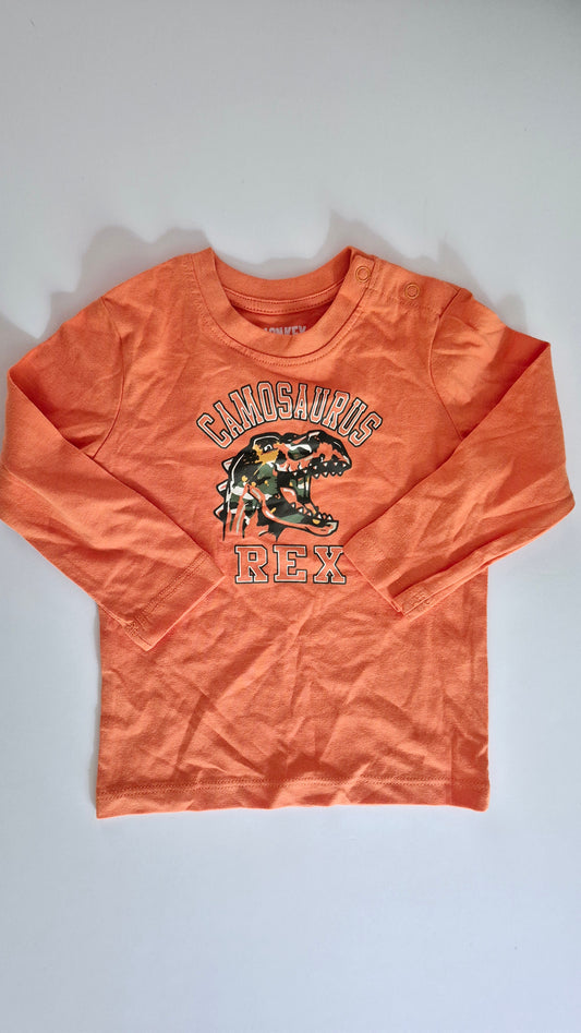 Chandail 12 mois Monkey Bars