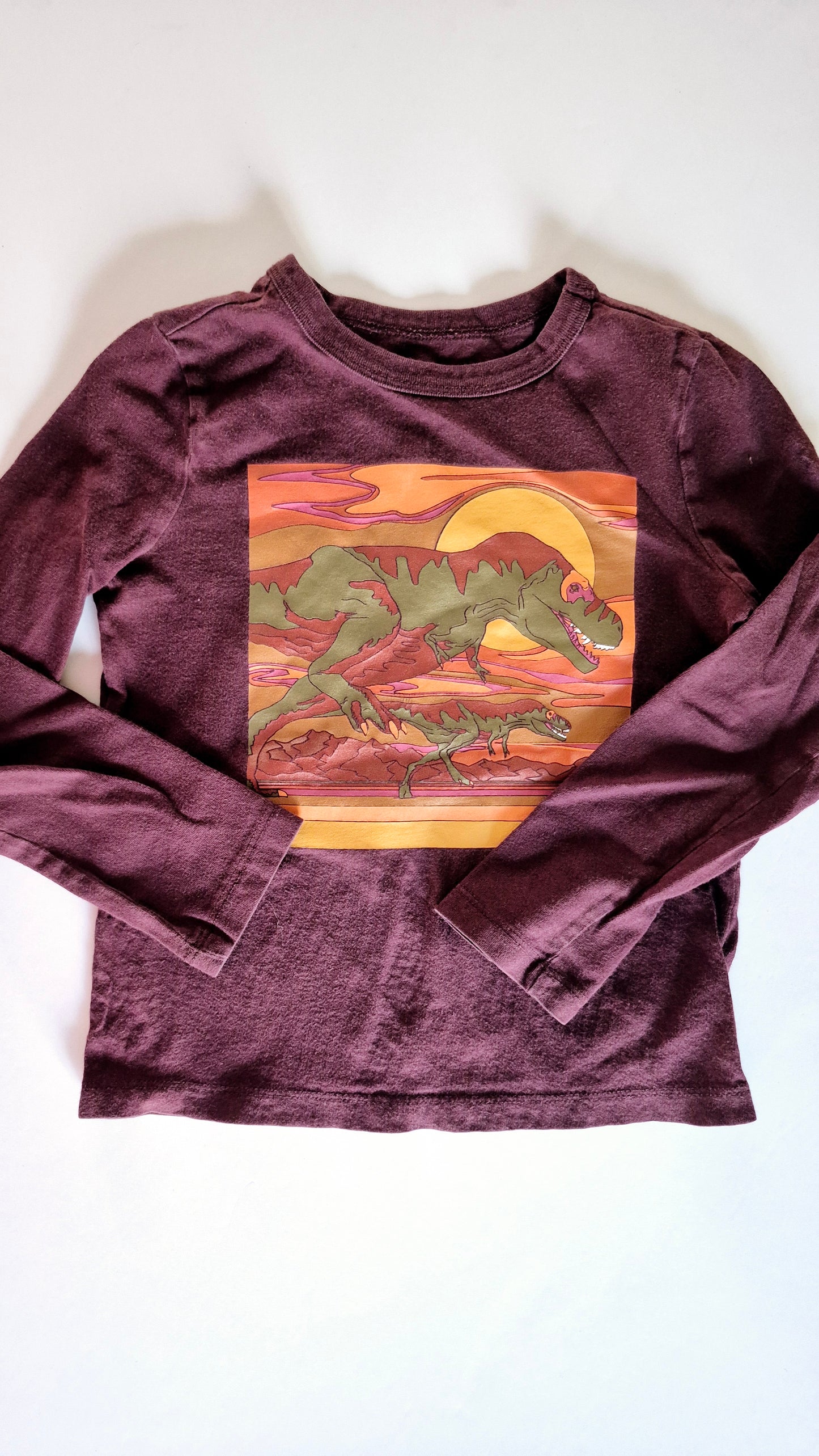 Chandail XS 4-5T Gap