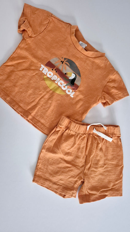 Ensemble 9 mois PLBaby