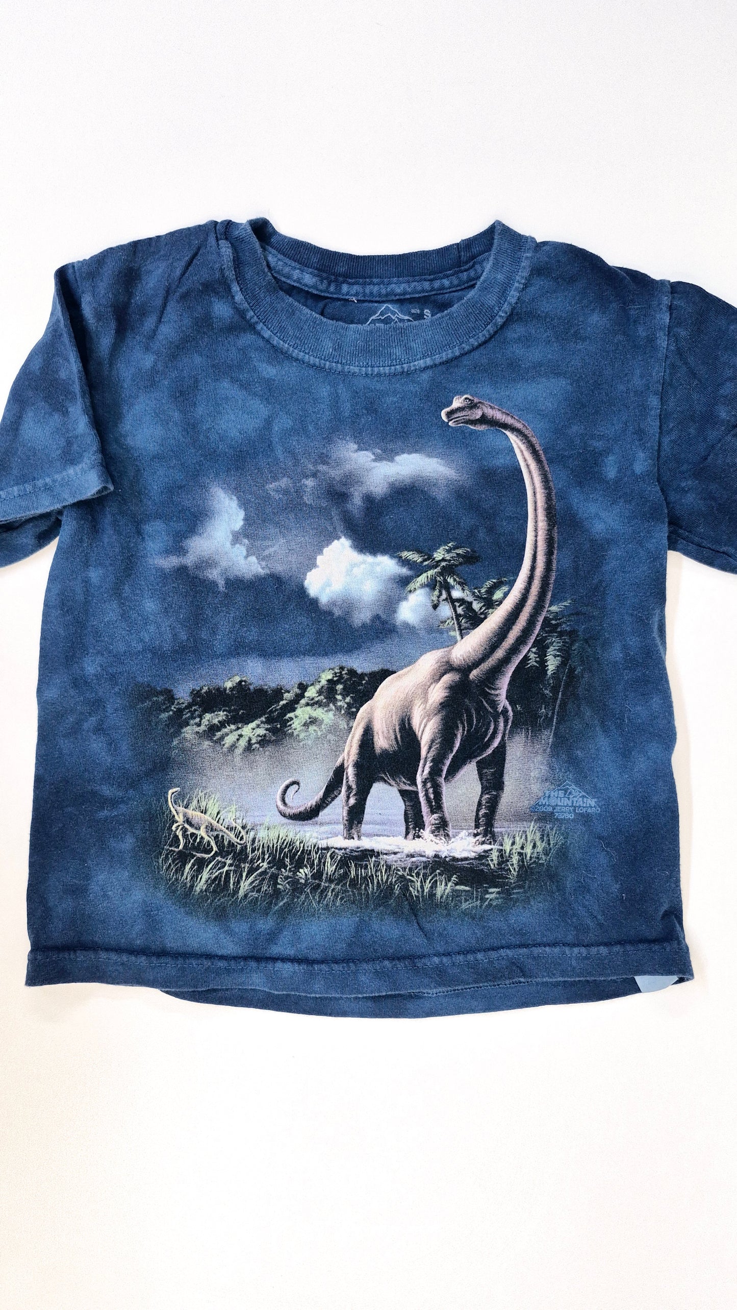 Chandail Small 5T