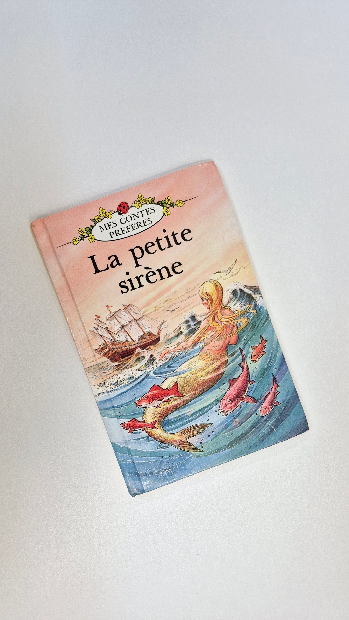 Livre Rigide