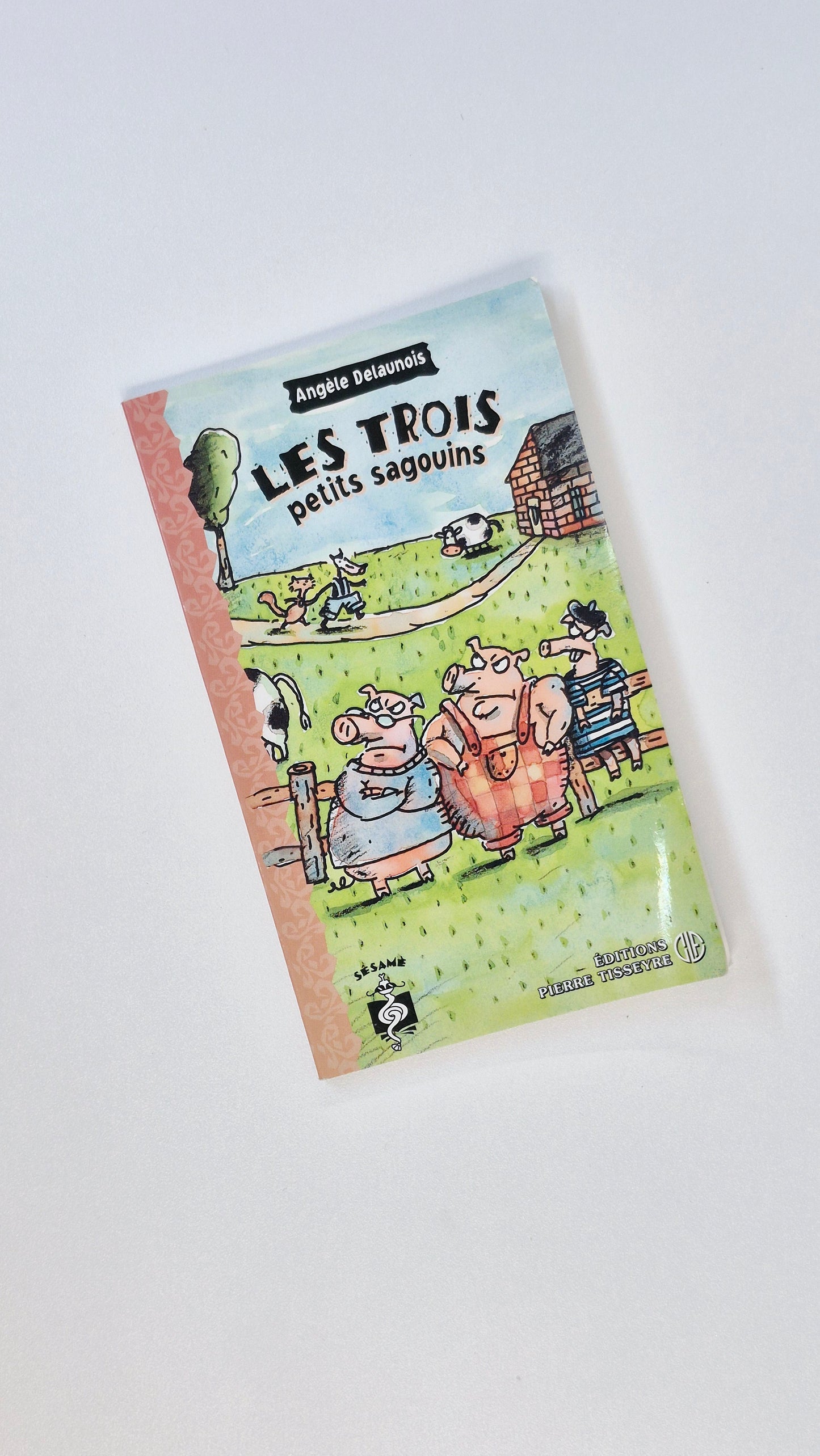Livre Souple