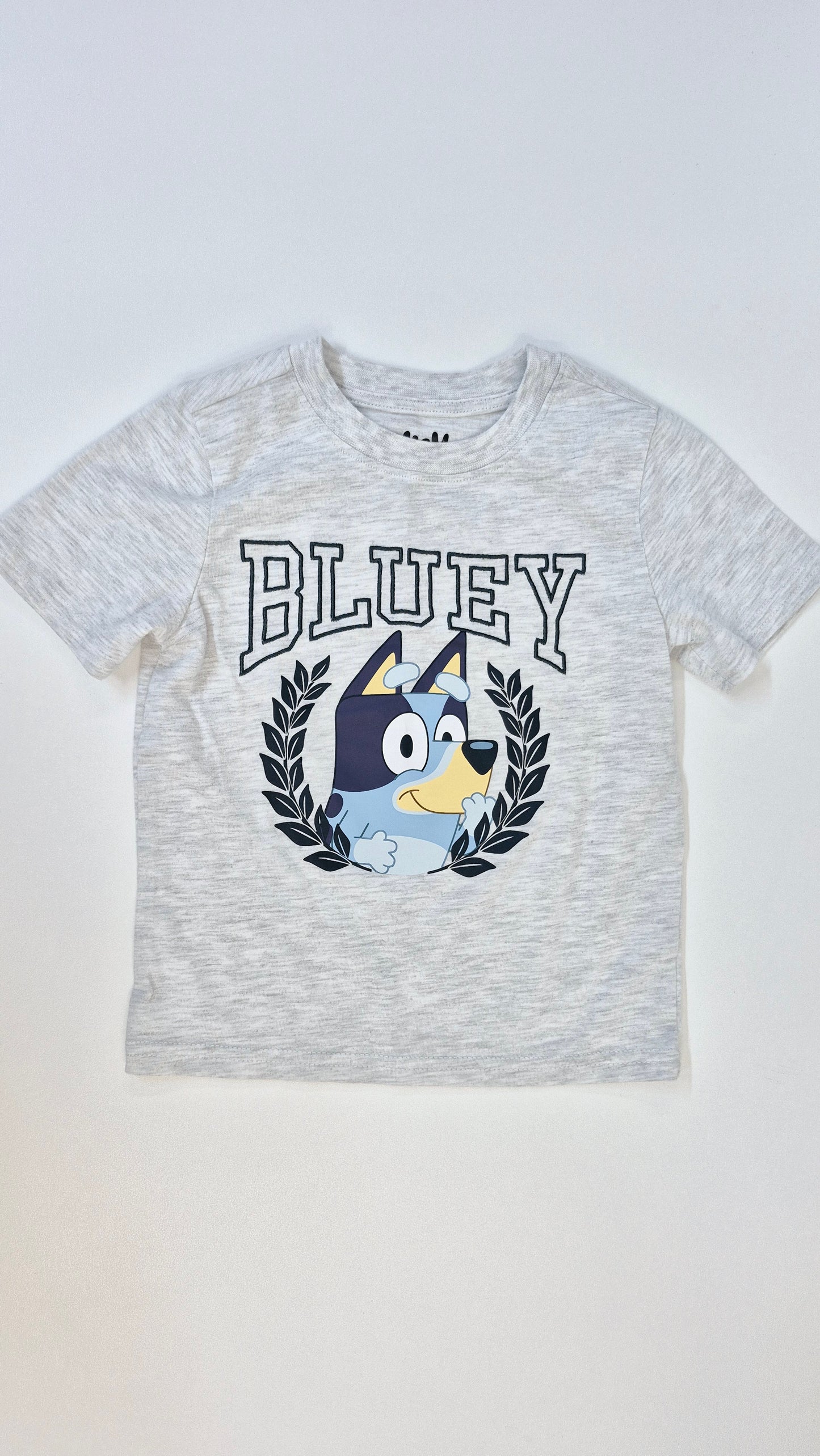 Chandail 2T Bluey