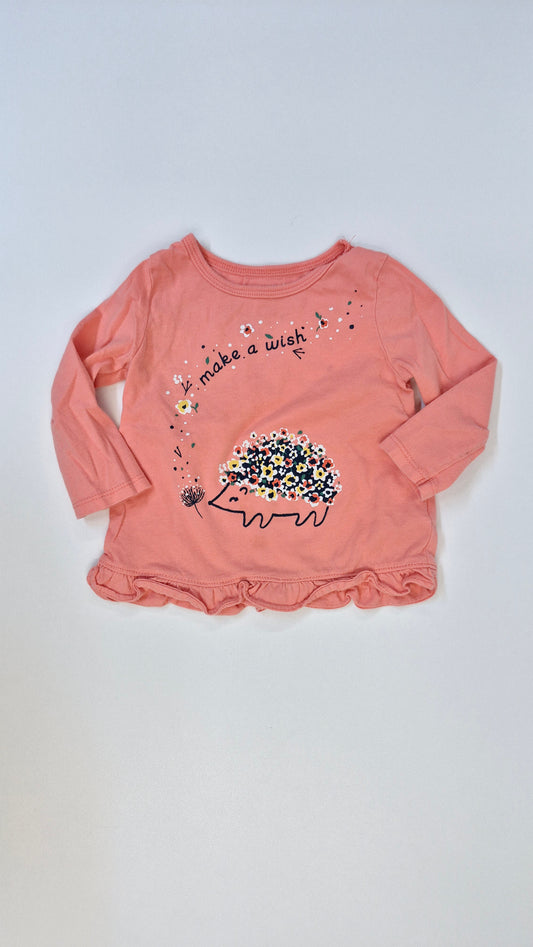 Chandail 12 mois Carter's (Imparfait voir photo)
