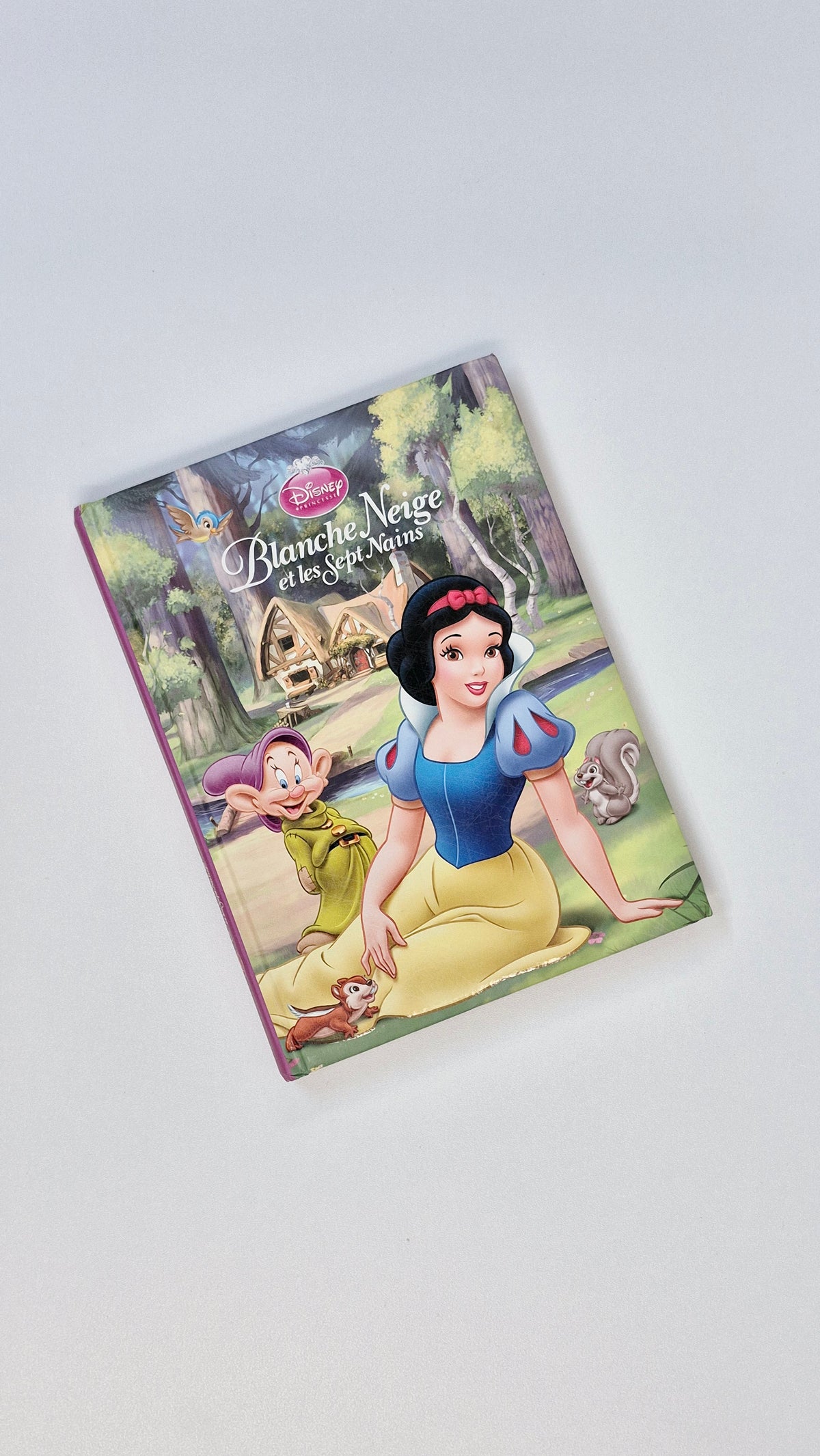 Livre Rigide Epais