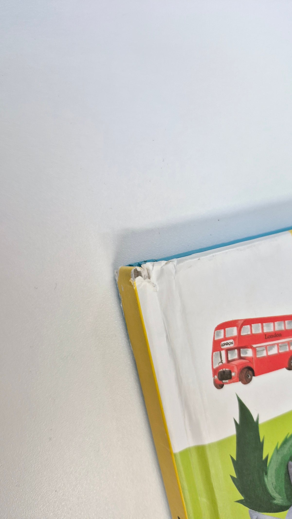 Livre Rigide (Gros avec imperfection voir photo)